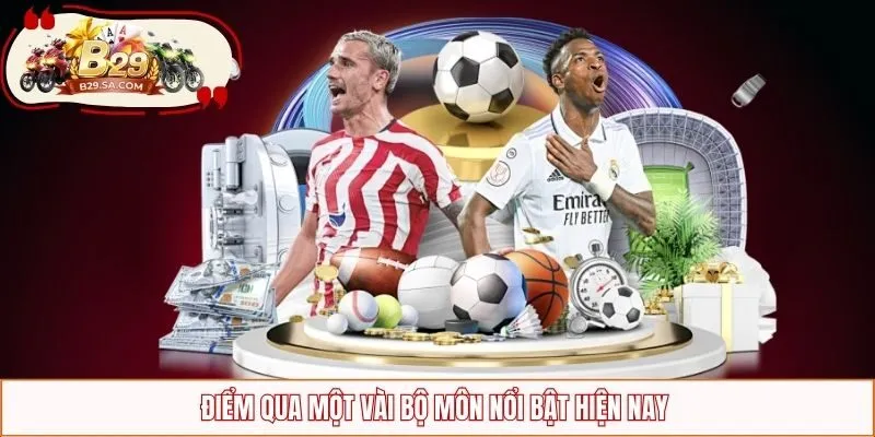 Điểm qua một vài bộ môn nổi bật hiện nay 